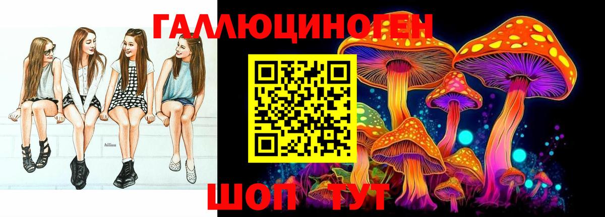 Псилоцибиновые грибы Cubensis  Вход с VPN  Чапаевск 