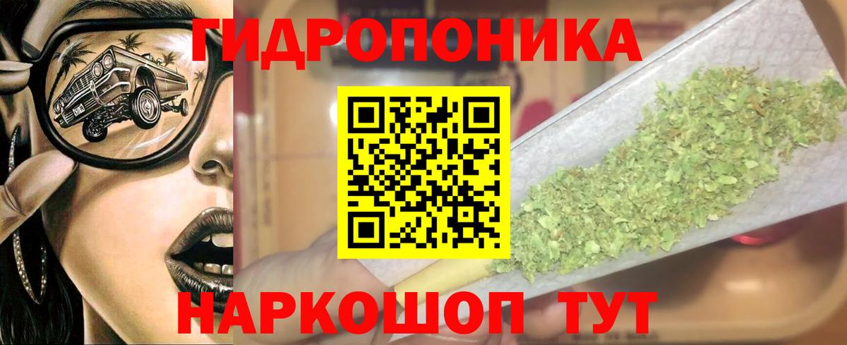 Бошки Шишки Amnesia Чапаевск